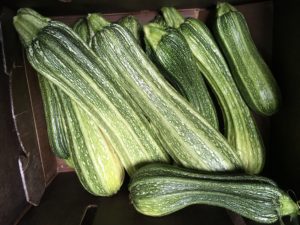 Heirloom summer squash at Dukes Farm